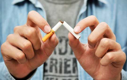 New Research: Quitting Smoking Regrows Protective Lung Cells 