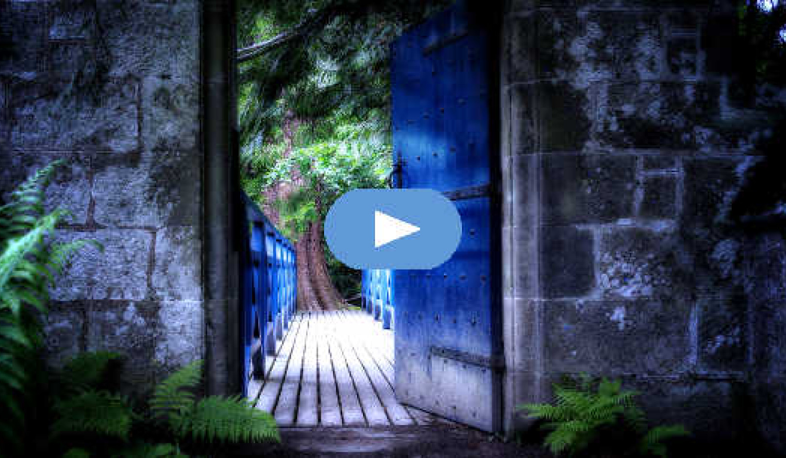 Finding Health and Wellness on the Path to Awakening (Video)